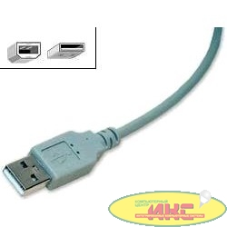 Gembird CC-USB2-AMBM-10 USB 2.0 кабель для соед. 3.0м AM/BM , пакет 
