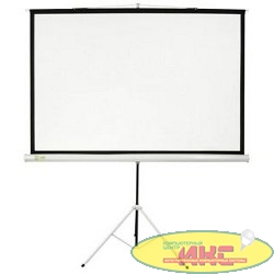 Экран Cactus Triscreen CS-PST-150X150 150х150 см 1:1, напольный белый