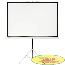 Экран Cactus Triscreen CS-PST-127X127 127 x 127см 1:1 напольный рулонный белый