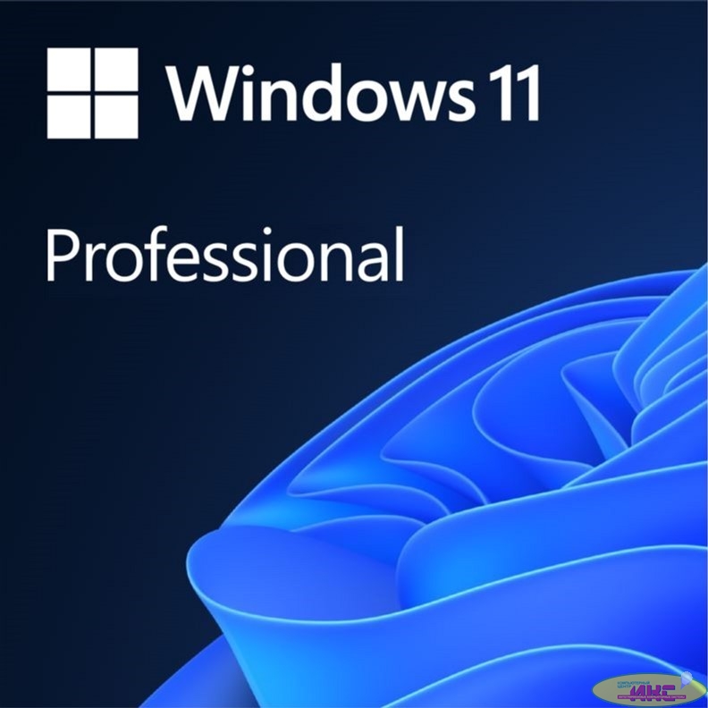Microsoft Windows 11 [FQC-10529] Professional English 64-bit {1pk DSP OEI DVD}